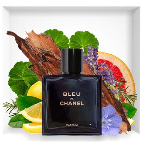 bleu de chanel sample|chanel bleu for men sample.